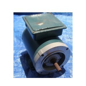 RELIANCE P56H3119H 