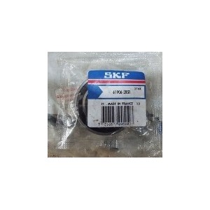 SKF 61906-2RS1