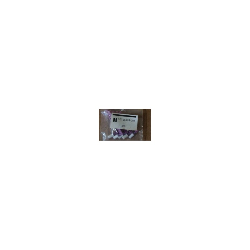 H 30735489-001 486 H 30735489-001 486