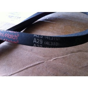 JASON BELT A29