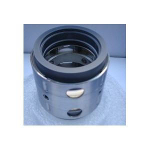 AESSEAL M01S-DDYS-0444-DBS-S