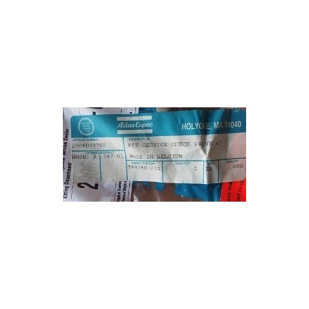 ATLAS COPCO   4'' 2906018700
