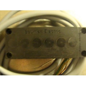 BAUMER ELECTRIC SENSOR