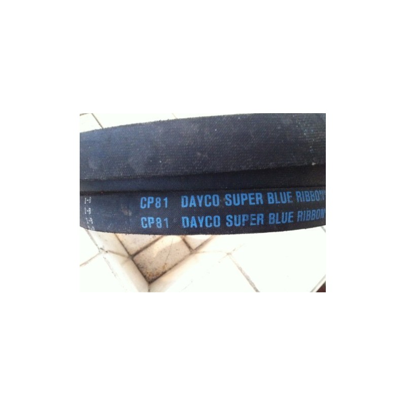 DAYCO BELT CP81 DAYCO BELT CP81