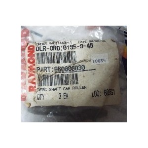 RAYMOND 860000030