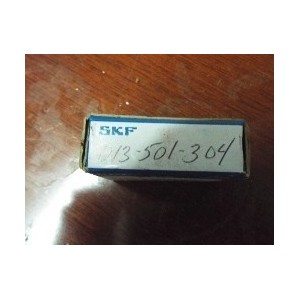 SKF 013-501-304