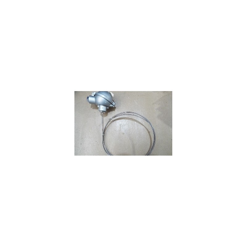 TEMP TRANSMITTER 2XPT100 4L TEMP TRANSMITTER 2XPT100 4L