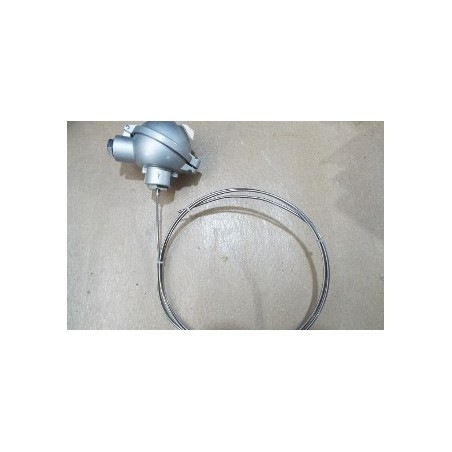 TEMP TRANSMITTER 2XPT100 4L