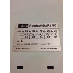 AEG 910-300-013