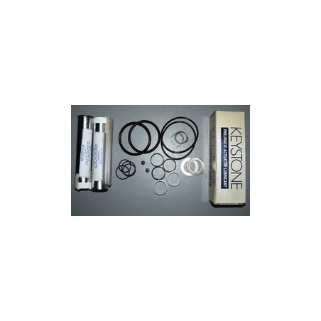 KEY INTERN PUMP SEAL KIT 290100566