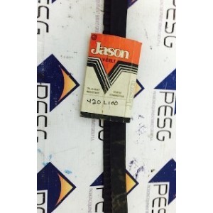JASON 420 L100