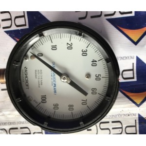 ASHCROFT DURALIFE PLUS AISI 316