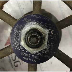 BONNEY FORGE 087611