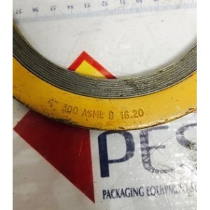 4" 300 ASME B 16-20