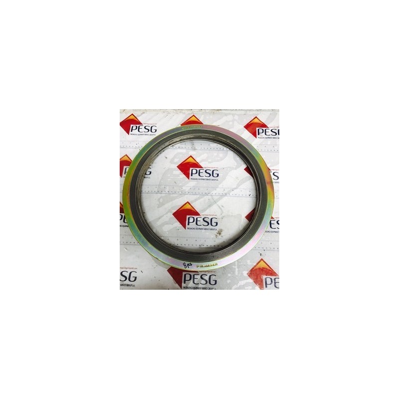GARLOCK FLEX SEA 12" 150 ASME 6 16.20 GARLOCK FLEX SEA 12" 150 ASME 6 16.20