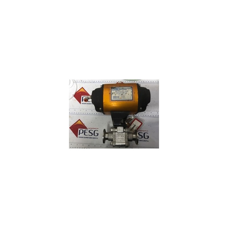 IVES 403000
