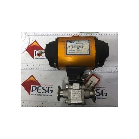 IVES 403000