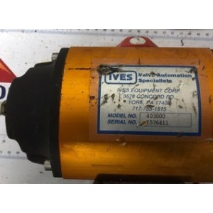IVES 403000