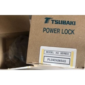 TSUBAKI PL040X065AS