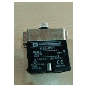 RAAS CONTROLS RB2-BV6