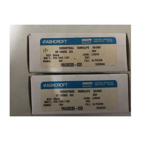 ASHCROFT 1NA6295-028