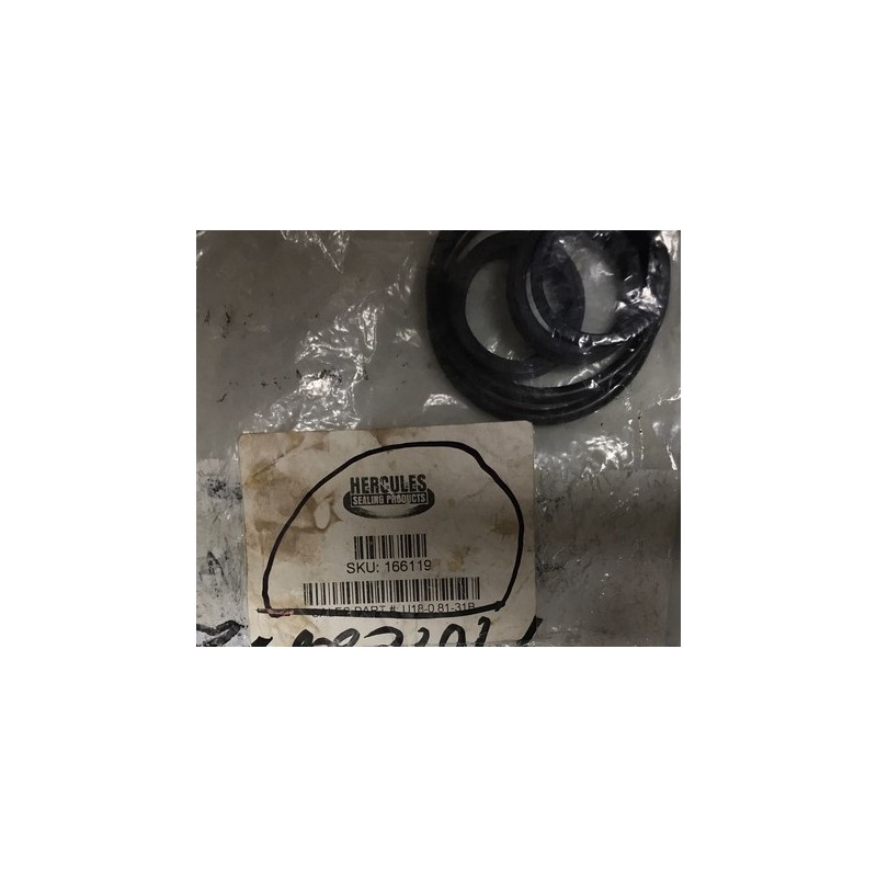 GASKETS 166119