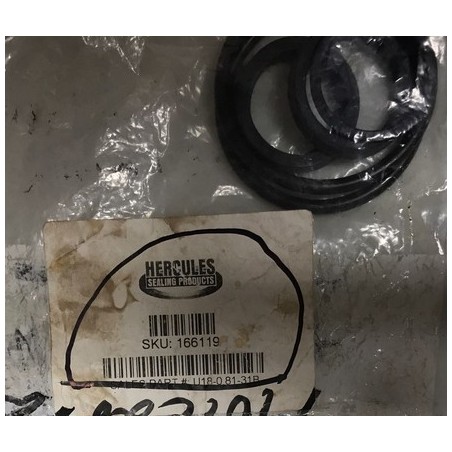 GASKETS 166119