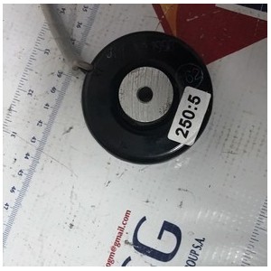 ELECTRIC RING CORP 250:5