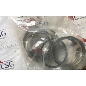 O-RING B-081-G-02 AH1748