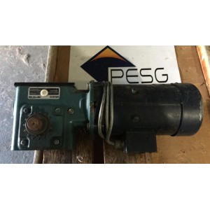 LEESON C4D17FK1G