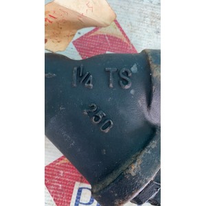 EVER 1 1/4 TS 250