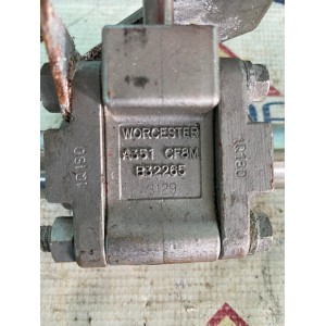 WORCESTER A351CF8M