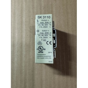 RITTAL SK 3110 