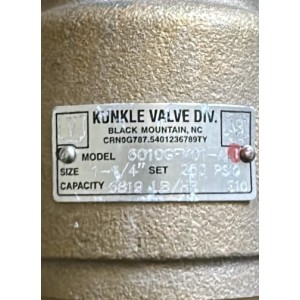 Kunkle 6010GFM01-AM Safety Relief Valve | Steam Application Overpressure Protection