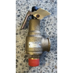 Kunkle 6010GFM01-AM Safety Relief Valve | Steam Application Overpressure Protection