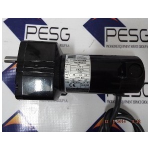 BODINE ELECTRIC 24A4BEPM-D3