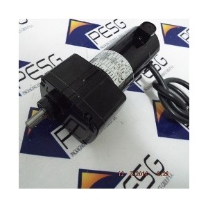 BODINE ELECTRIC 24A4BEPM-D3