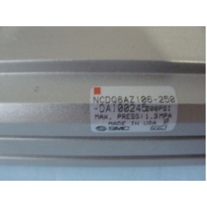 SMC NCDQ8AZ106-250-DAI00245 200PSI CYLINDER