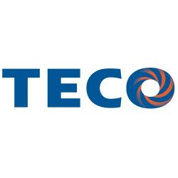 TECO-Westinghouse – Global Leader in Electric Motors and Generators